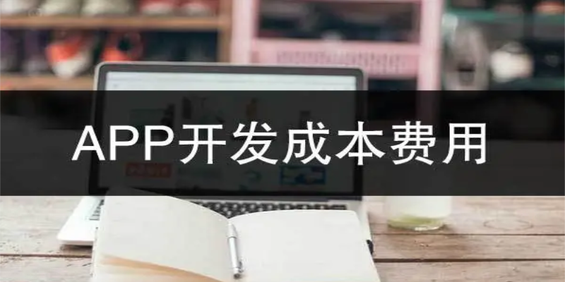 如何有效控制APP開發的成本？